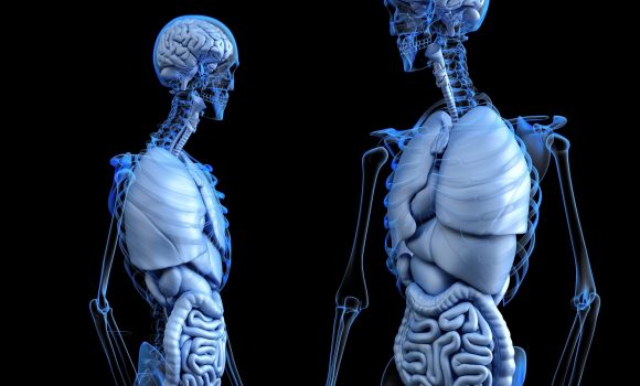 Healthy Lung Month and the HSE initiative focusing on Respiratory Risk