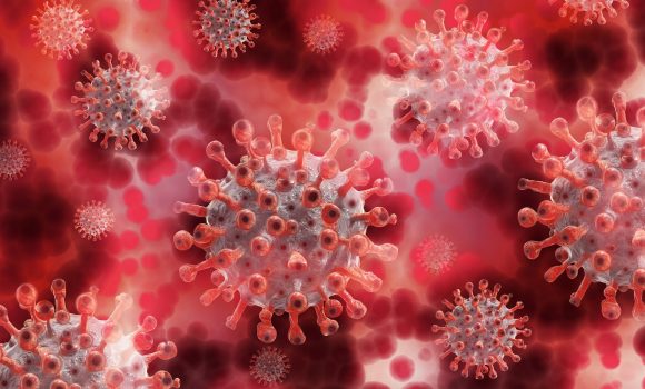 HSE’s Chief Scientific Adviser welcomes introduction of new Covid-19 research programme