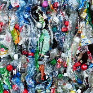 Recycling Company fined after worker crushed to death