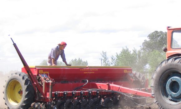 Farmer fined after worker becomes entangled in potato harvester