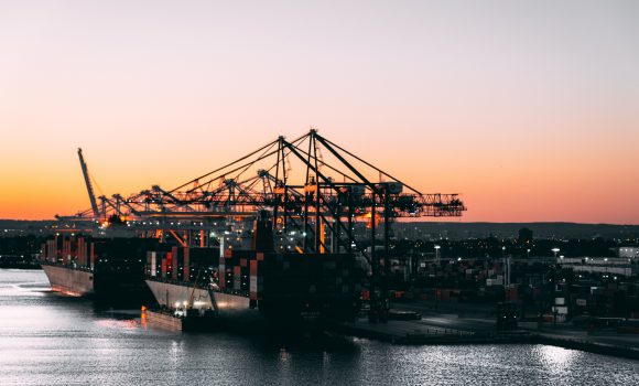 Cargo handling company sentenced after worker crushed between shipping containers