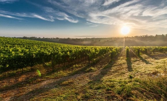 Reminder for farmers to keep visitors safe this summer