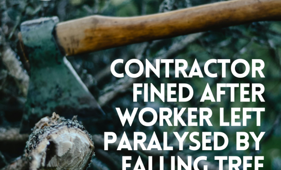 Contractor fined after worker left paralysed by falling tree